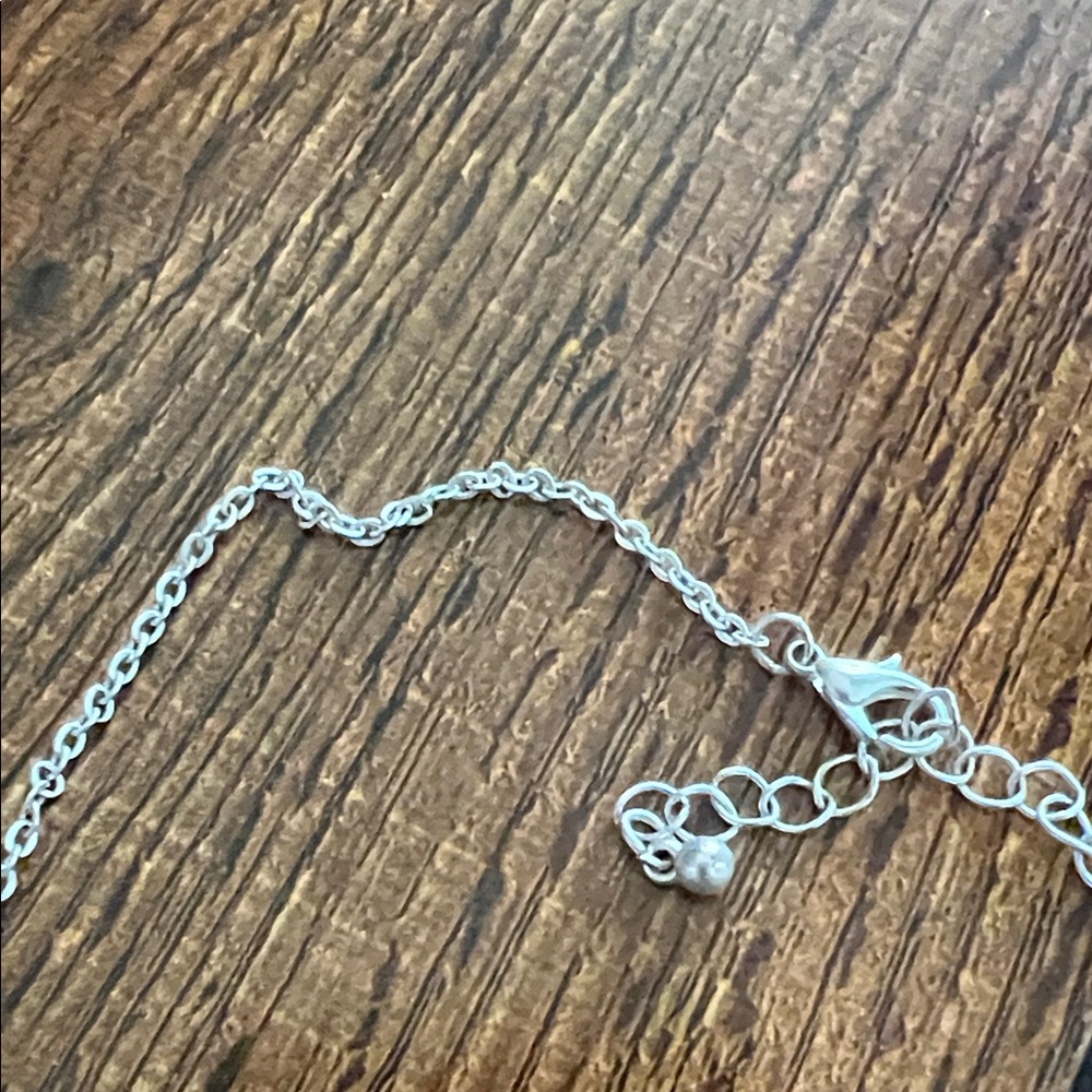 Silver Texas Pendant Necklace - Picture 3 of 3